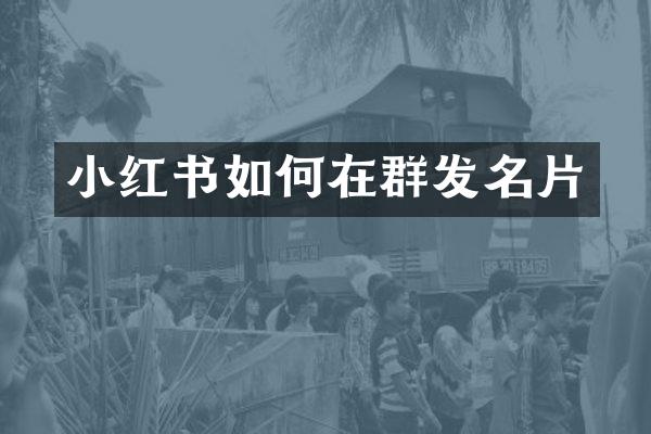 小红书如何在名片