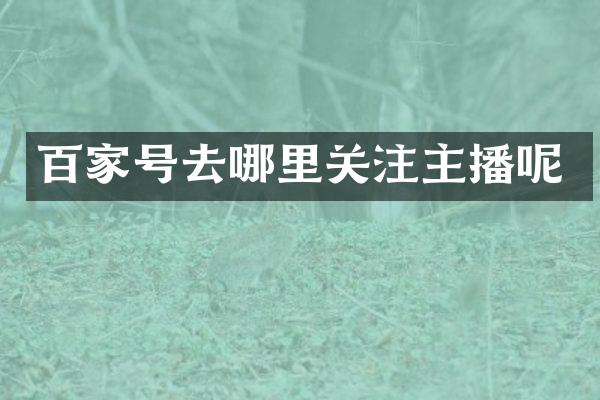 百家号去哪里关注主播呢