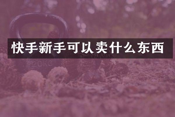 快手新手可以卖什么东西