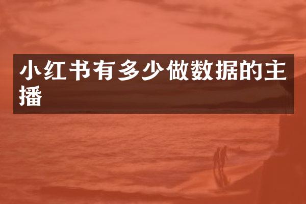 小红书有多少做数据的主播
