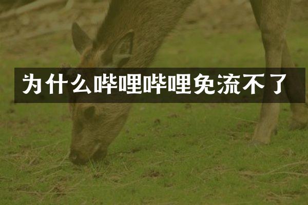 为什么哔哩哔哩免流不了