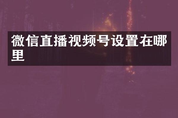 微信直播视频号设置在哪里