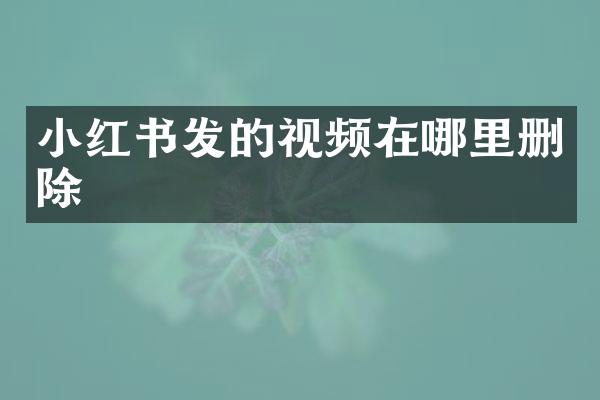 小红书发的视频在哪里删除