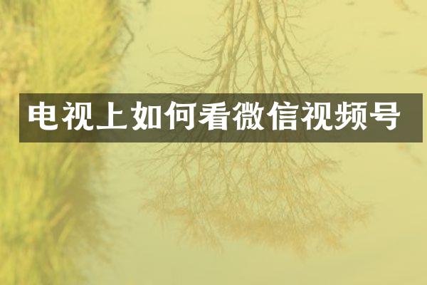 电视上如何看微信视频号