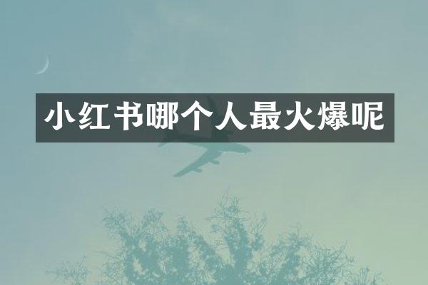 小红书哪个人最火爆呢