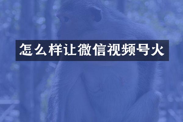 怎么样让微信视频号火