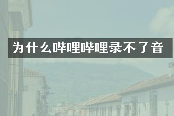为什么哔哩哔哩录不了音