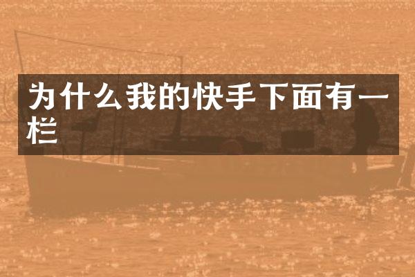 为什么我的快手下面有一栏