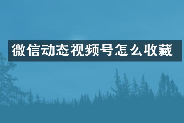 微信动态视频号怎么收藏