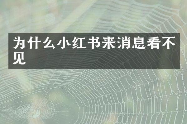为什么小红书来消息看不见