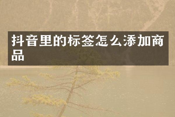 抖音里的标签怎么添加商品