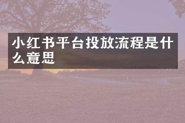小红书平台投放流程是什么意思