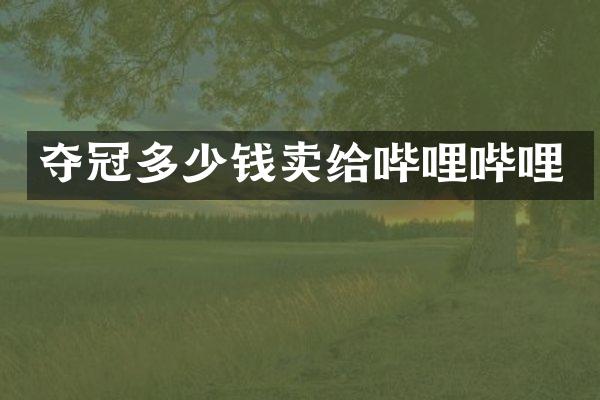 夺冠多少钱卖给哔哩哔哩