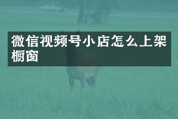 微信视频号小店怎么上架橱窗