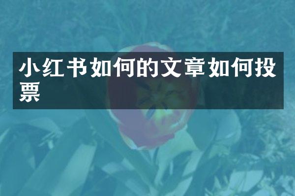 小红书如何的文章如何投票