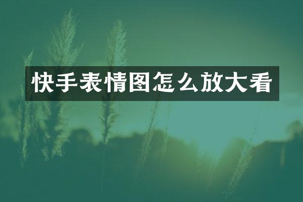 快手表情图怎么放大看