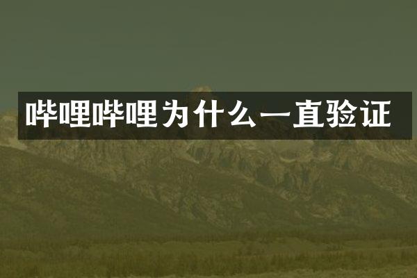 哔哩哔哩为什么一直验证