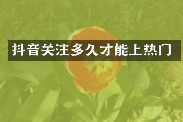 抖音关注多久才能上热门