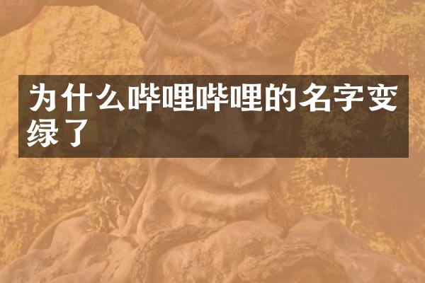 为什么哔哩哔哩的名字变绿了