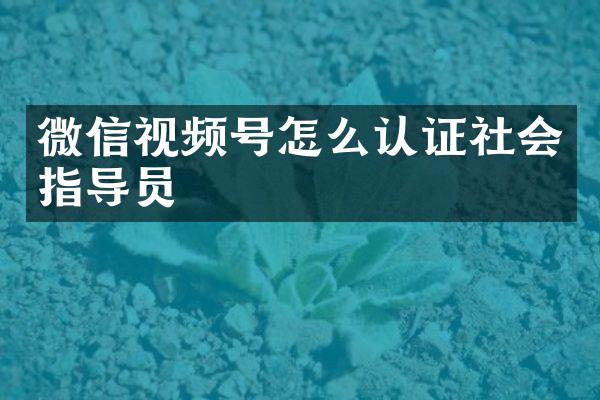 微信视频号怎么认证社会指导员