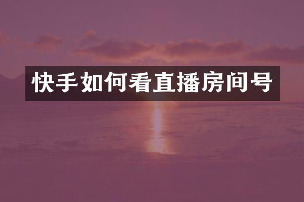 快手如何看直播房间号