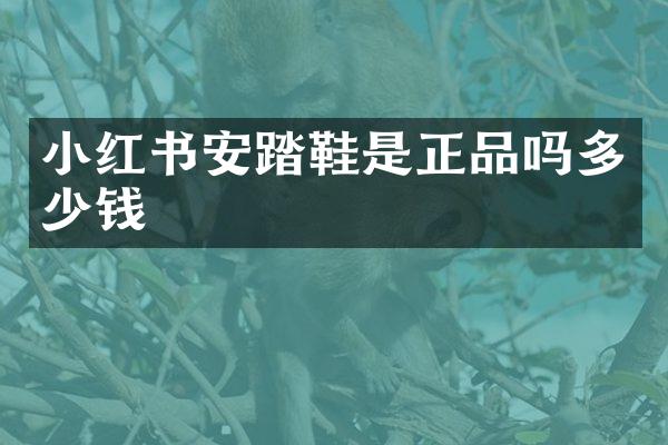 小红书安踏鞋是正品吗多少钱