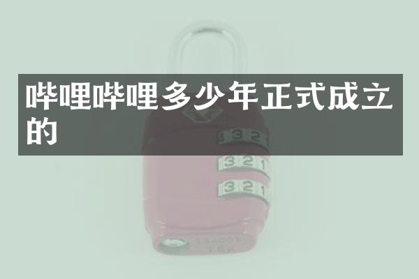 哔哩哔哩多少年正式成立的
