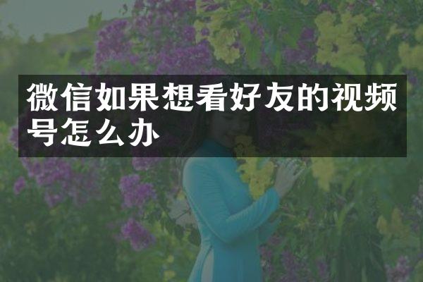 微信如果想看好友的视频号怎么办