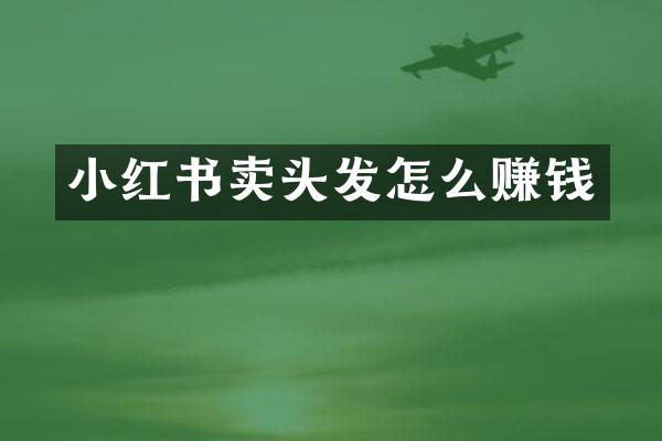 小红书卖头发怎么赚钱