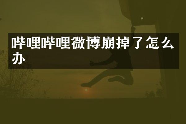 哔哩哔哩微博崩掉了怎么办