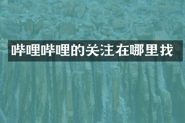 哔哩哔哩的关注在哪里找