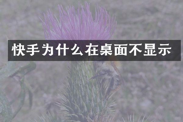 快手为什么在桌面不显示