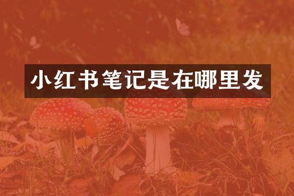小红书笔记是在哪里发