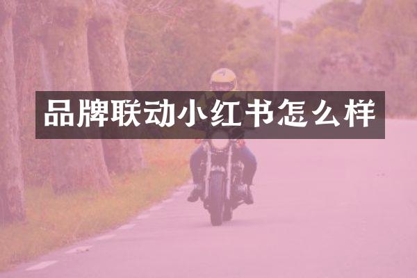 品牌联动小红书怎么样