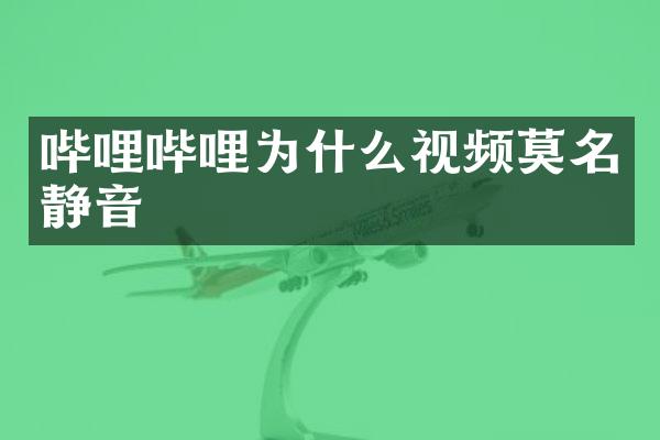 哔哩哔哩为什么视频莫名静音