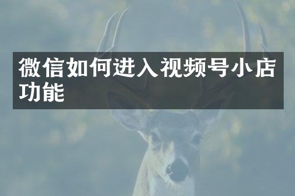 微信如何进入视频号小店功能