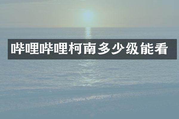 哔哩哔哩柯南多少级能看