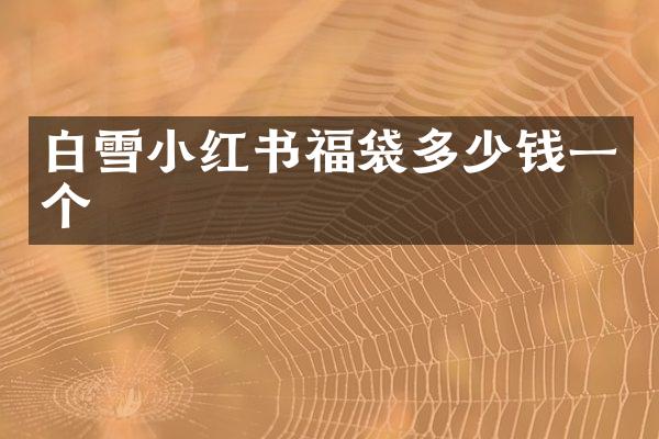白雪小红书福袋多少钱一个