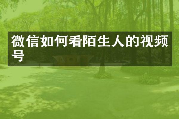 微信如何看陌生人的视频号