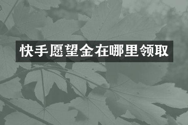 快手愿望金在哪里领取