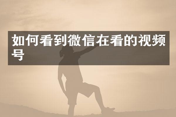 如何看到微信在看的视频号