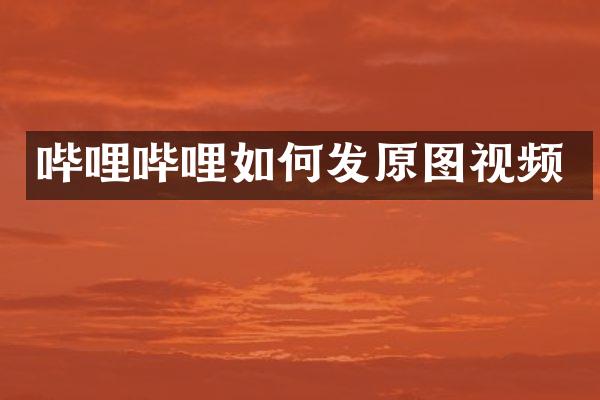 哔哩哔哩如何发原图视频