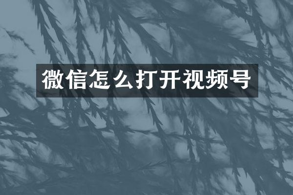微信怎么打开视频号