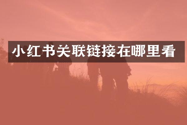 小红书关联链接在哪里看