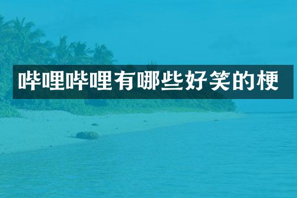 哔哩哔哩有哪些好笑的梗