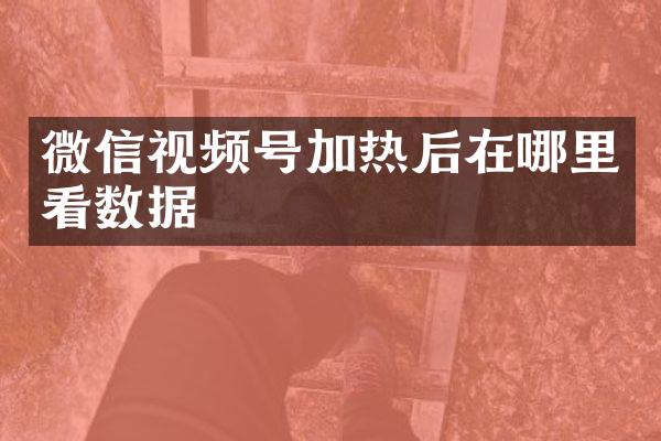 微信视频号加热后在哪里看数据