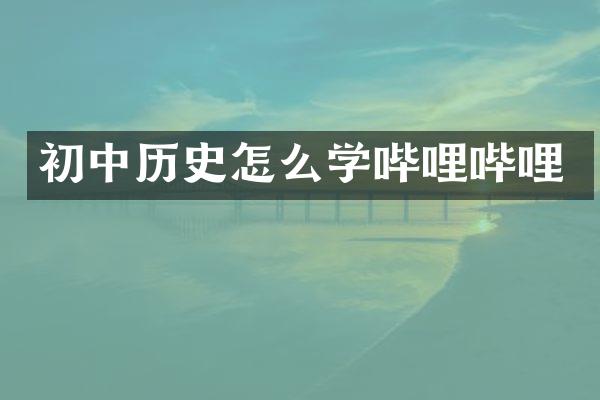初中历史怎么学哔哩哔哩