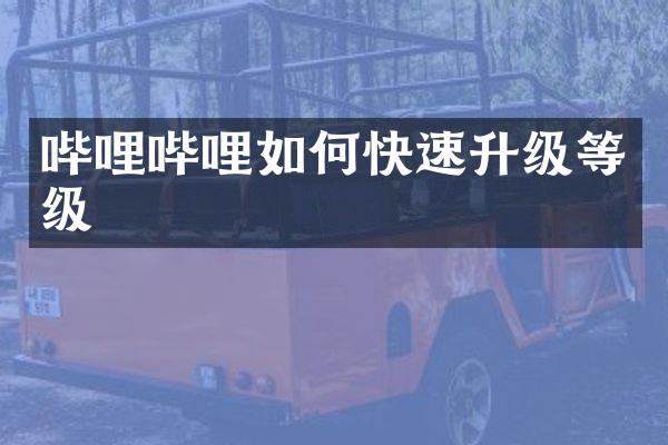 哔哩哔哩如何快速升级等级