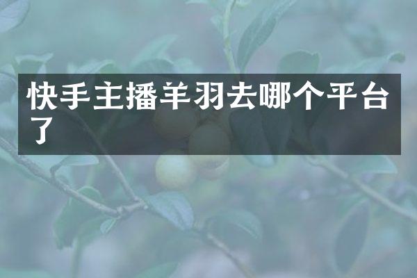 快手主播羊羽去哪个平台了