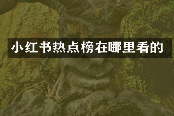 小红书热点榜在哪里看的
